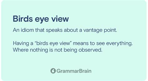 a bird eye view idiom sentence|Idiom: Bird’s.